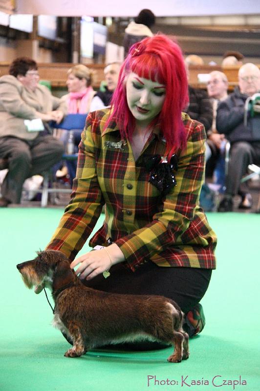 Crufts2011_2 1630.jpg